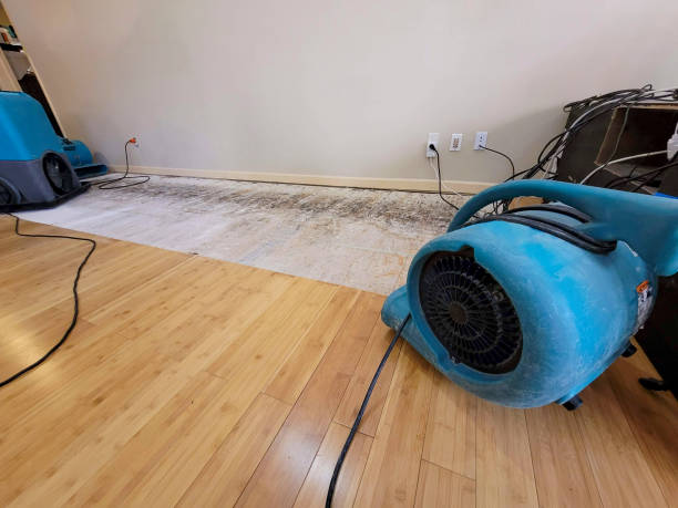 Professional Water Removal technician working in Norwich, CT